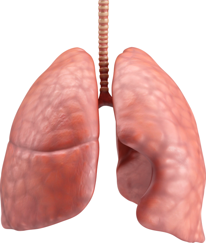 Enfisema Pulmonar