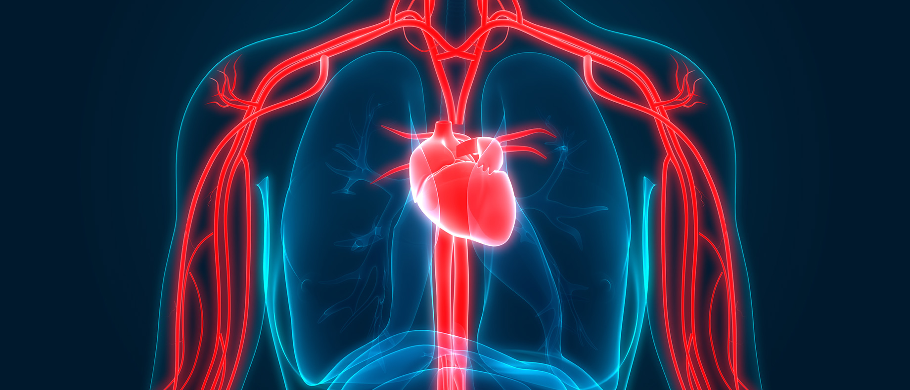 O que é o Check-UP Cardiopulmonar?